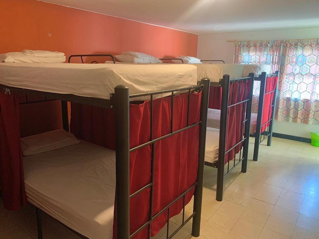 The Pelican Larry Hostel Кали Екстериор снимка