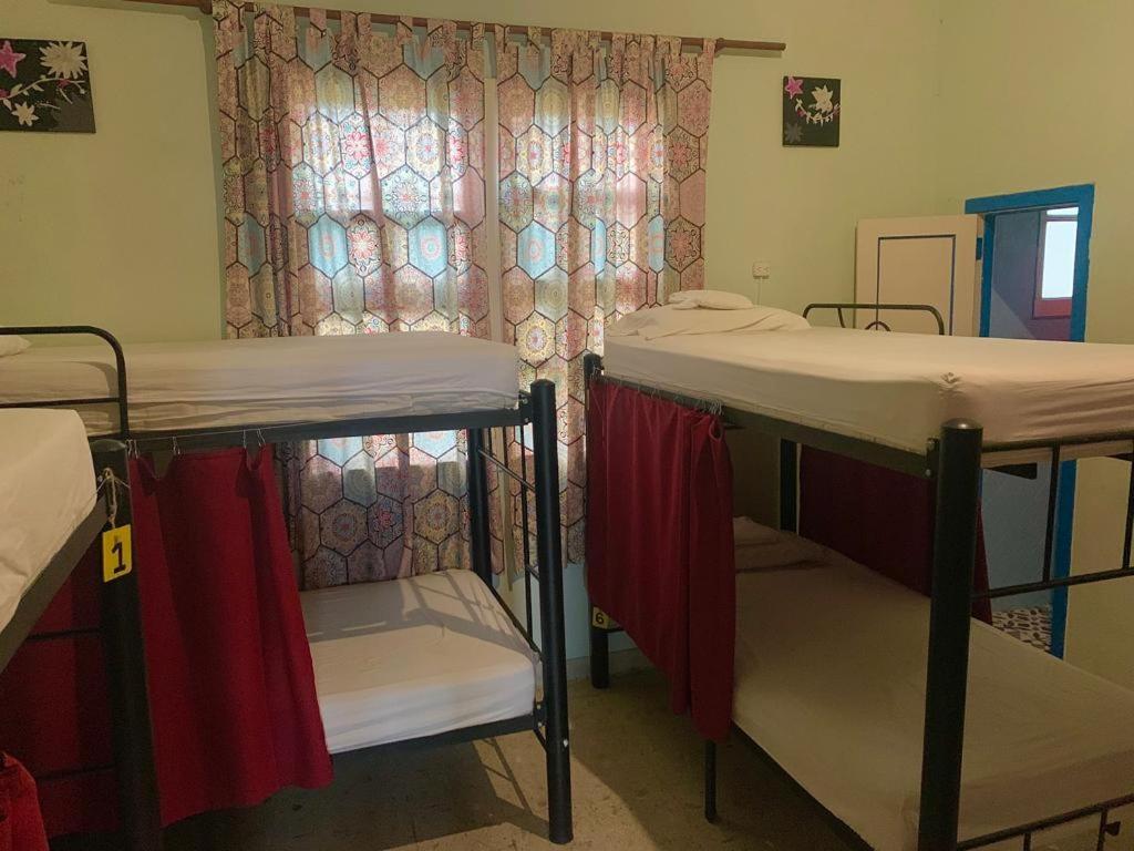 The Pelican Larry Hostel Кали Екстериор снимка